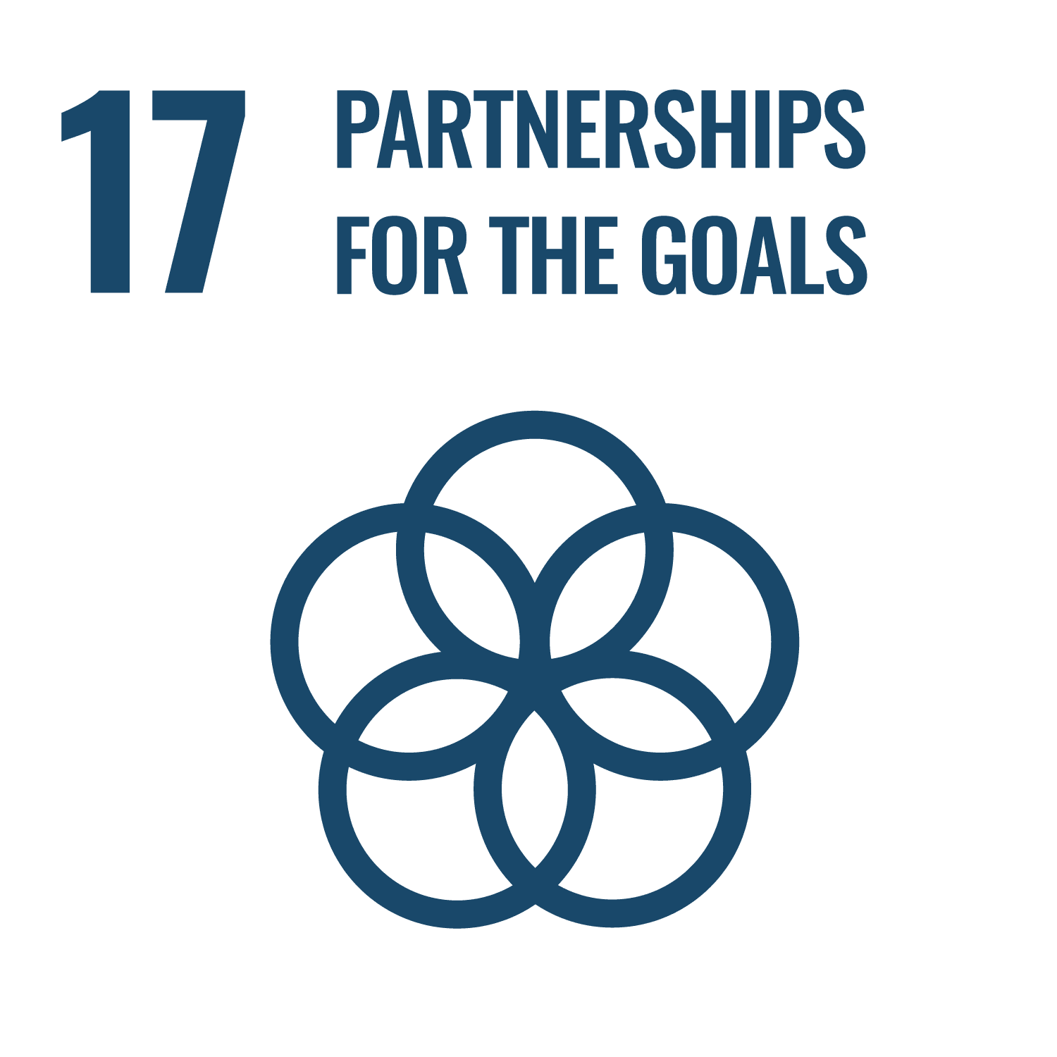 Goal 17, Partnerships for the goals