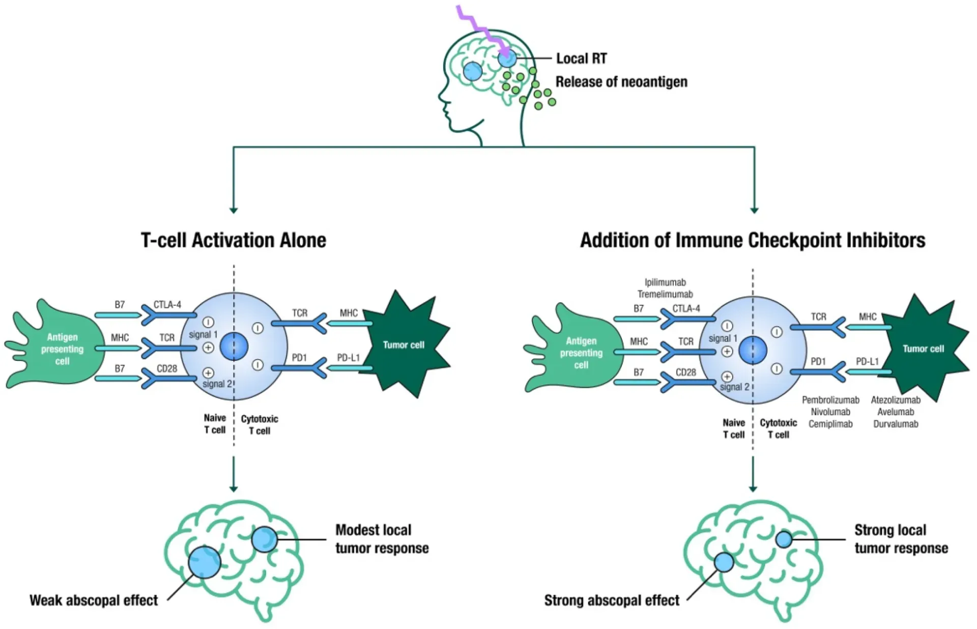 Figure 2 Integration of Systemic Article